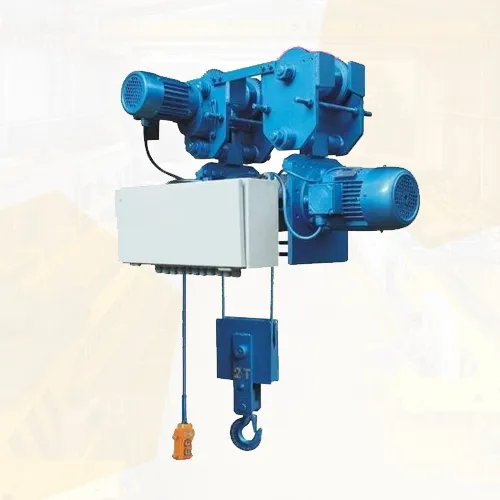 Electric Wire Hoist Manufacturer in Ahmedabad